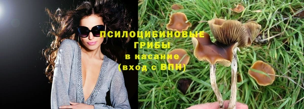 трава Вязьма