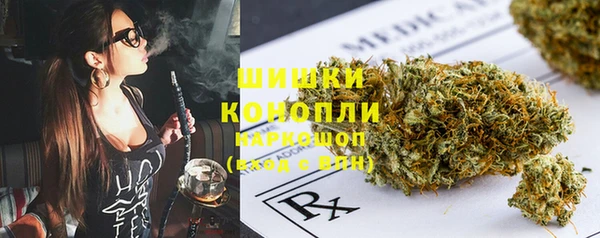 трава Вязьма