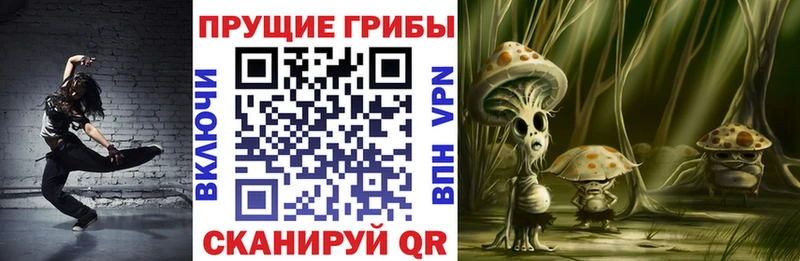 закладки  Мценск  Псилоцибиновые грибы ЛСД 